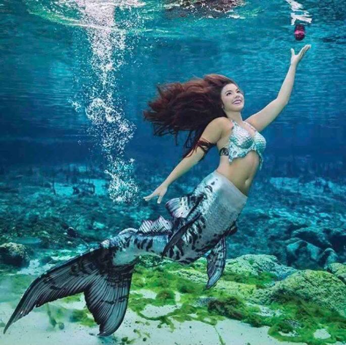 Manatee Oasis Weeki Wachee Family Fun Pool Home Spring Hill Exteriör bild