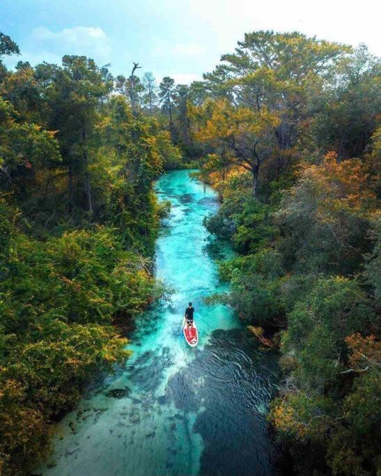 Manatee Oasis Weeki Wachee Family Fun Pool Home Spring Hill Exteriör bild