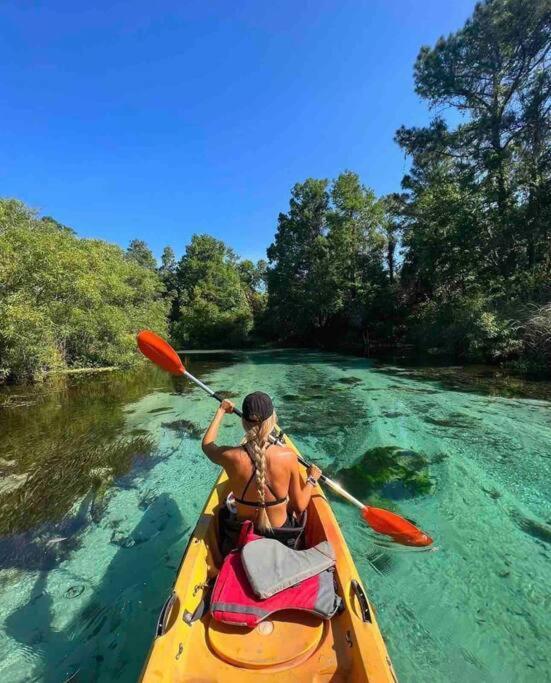 Manatee Oasis Weeki Wachee Family Fun Pool Home Spring Hill Exteriör bild